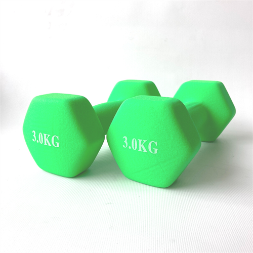 ASG Manualer 2x3 kg
